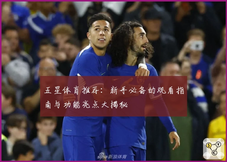 五星体育推荐：新手必备的观看指南与功能亮点大揭秘