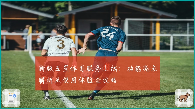 新版五星体育服务上线：功能亮点解析及使用体验全攻略
